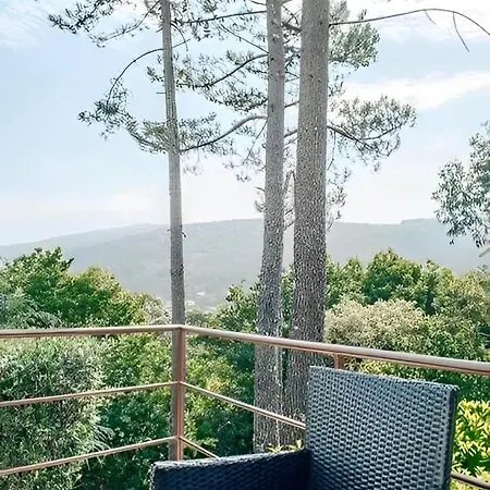 Дом отдыха Casa Bela Vista De Моледу