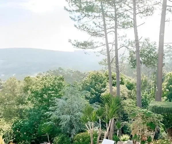 Casa Bela Vista De Ferienhaus Moledo (Viana do Castelo)