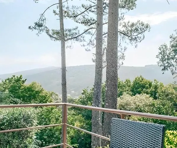 Ferienhaus Casa Bela Vista De Moledo (Viana do Castelo)